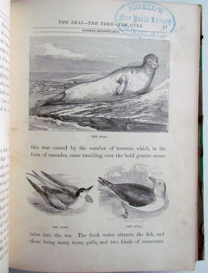 1880 WHAT MR. DARWIN SAW IN HIS VOYAGE ROUND THE WORLD IN SHIP BEAGLE ANTIQUE - 6