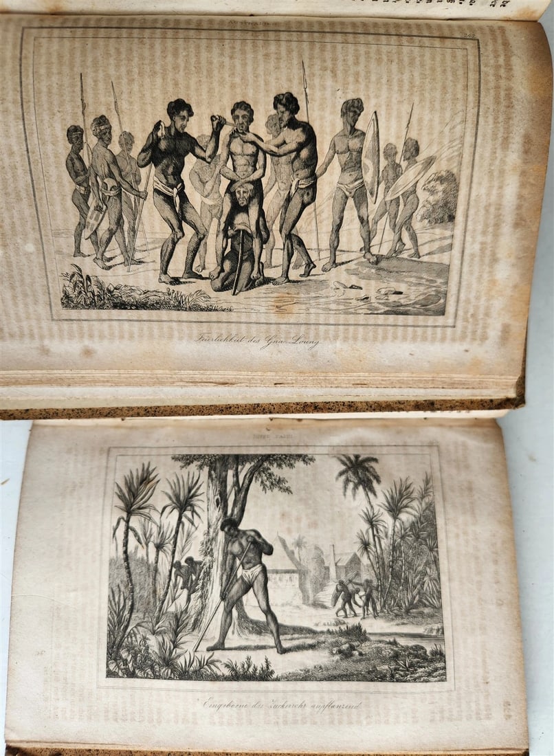 1838 TRAVELS to OCEANIA MALAYSIA POLYNESIA 3 VOLUMES antique ILLUSTRATED German - 13