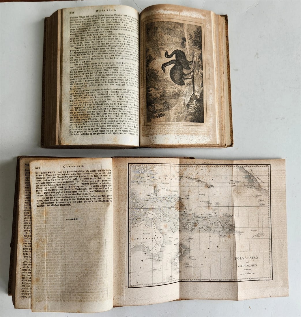 1838 TRAVELS to OCEANIA MALAYSIA POLYNESIA 3 VOLUMES antique ILLUSTRATED German - 14