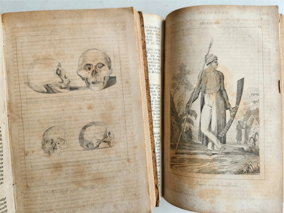 1838 TRAVELS to OCEANIA MALAYSIA POLYNESIA 3 VOLUMES antique ILLUSTRATED German - 18