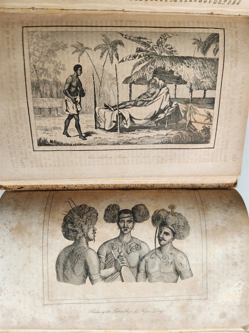 1838 TRAVELS to OCEANIA MALAYSIA POLYNESIA 3 VOLUMES antique ILLUSTRATED German - 19