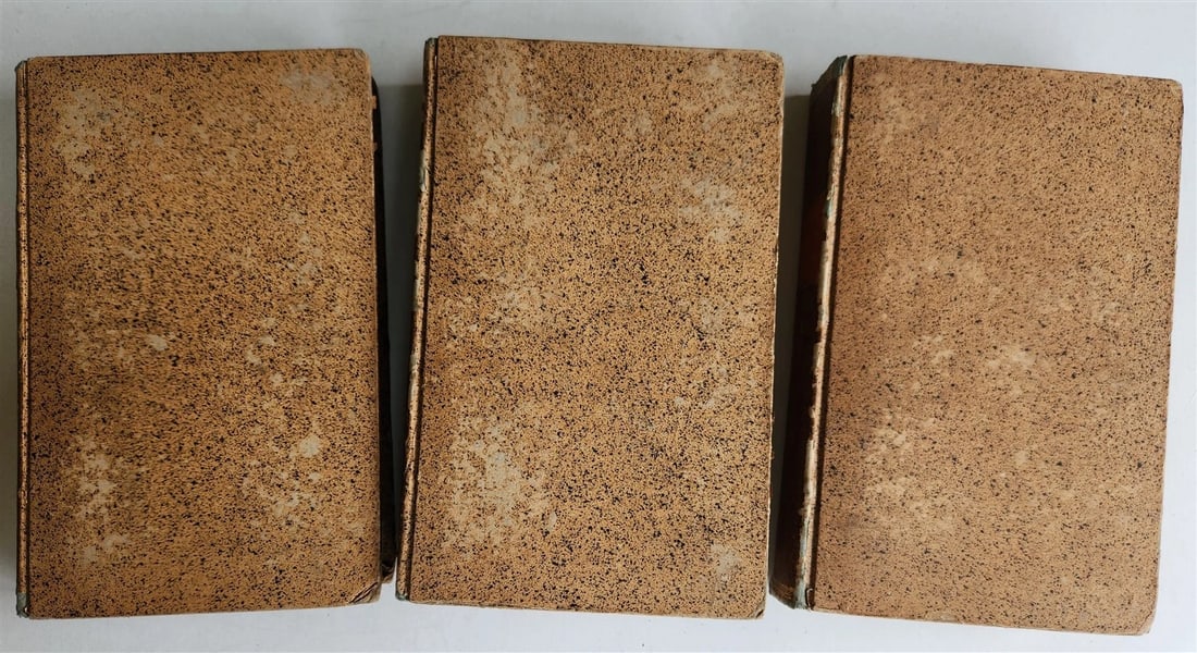 1838 TRAVELS to OCEANIA MALAYSIA POLYNESIA 3 VOLUMES antique ILLUSTRATED German - 3