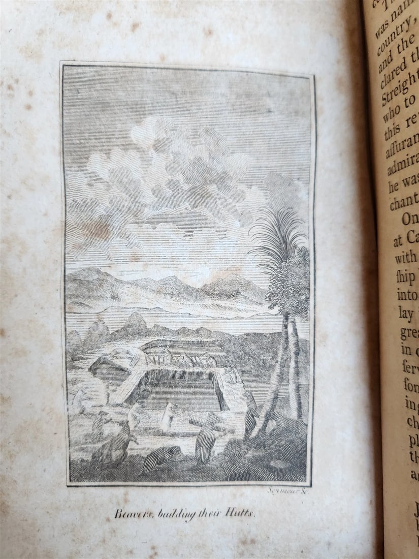 1795 WORLD DISPLAYED Curious Collection of Voyages & Travels ILLUSTRATED antique - 12