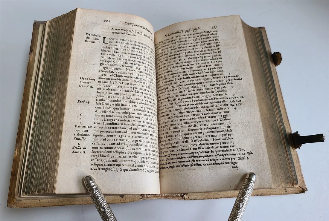 1593 EXEGETICAL WORKS by T. STAPLETON antique 16th CENTURY PLANTIN PIGSKIN BOUND - 8