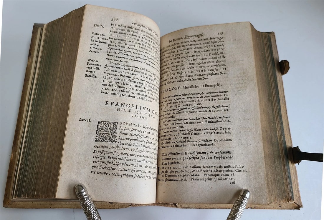 1593 EXEGETICAL WORKS by T. STAPLETON antique 16th CENTURY PLANTIN PIGSKIN BOUND - 9