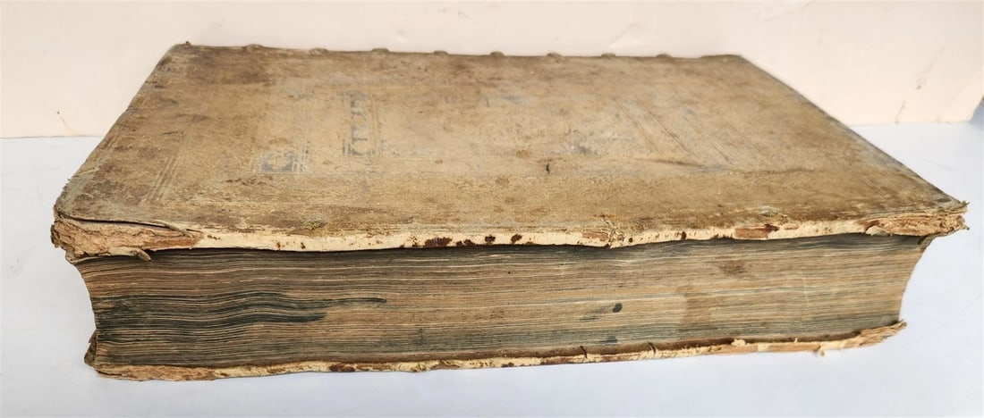 1584 LAW BOOK antique BLIND-TOOLED PIGSKIN BOUND LARGE FOLIO - 5