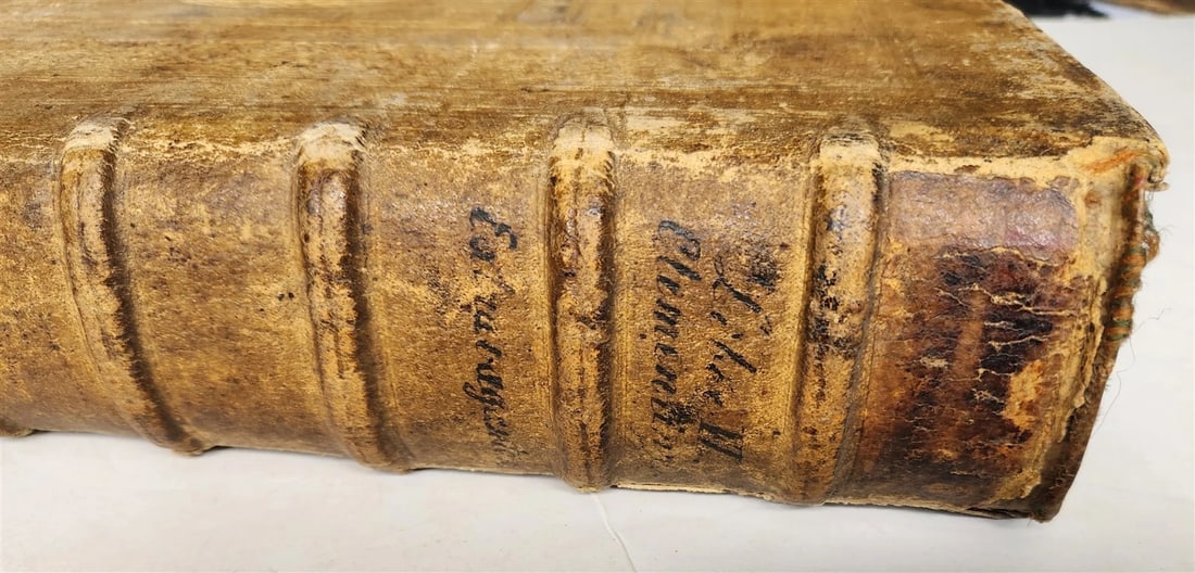 1584 LAW BOOK antique BLIND-TOOLED PIGSKIN BOUND LARGE FOLIO - 9