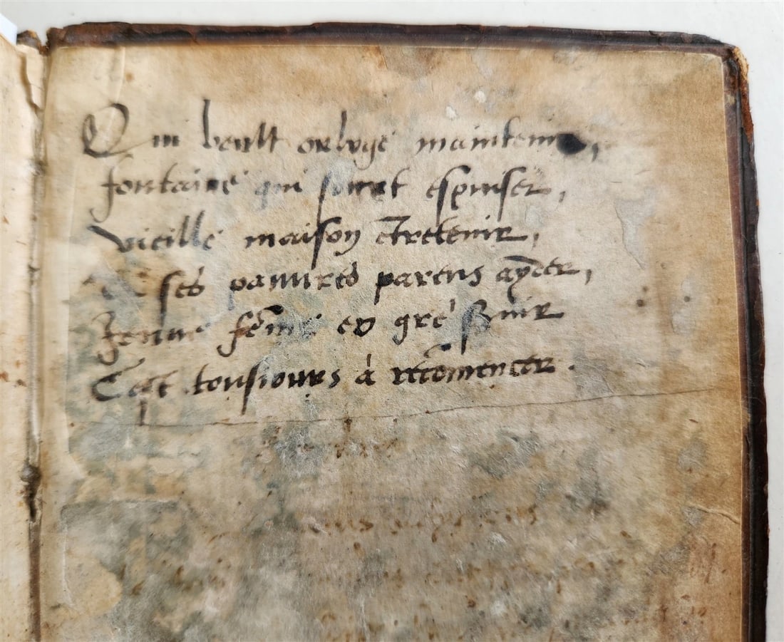 1559 POLITICAL TREATISE by Franciscus Patricius ANTIQUE original 16th c. binding - 9