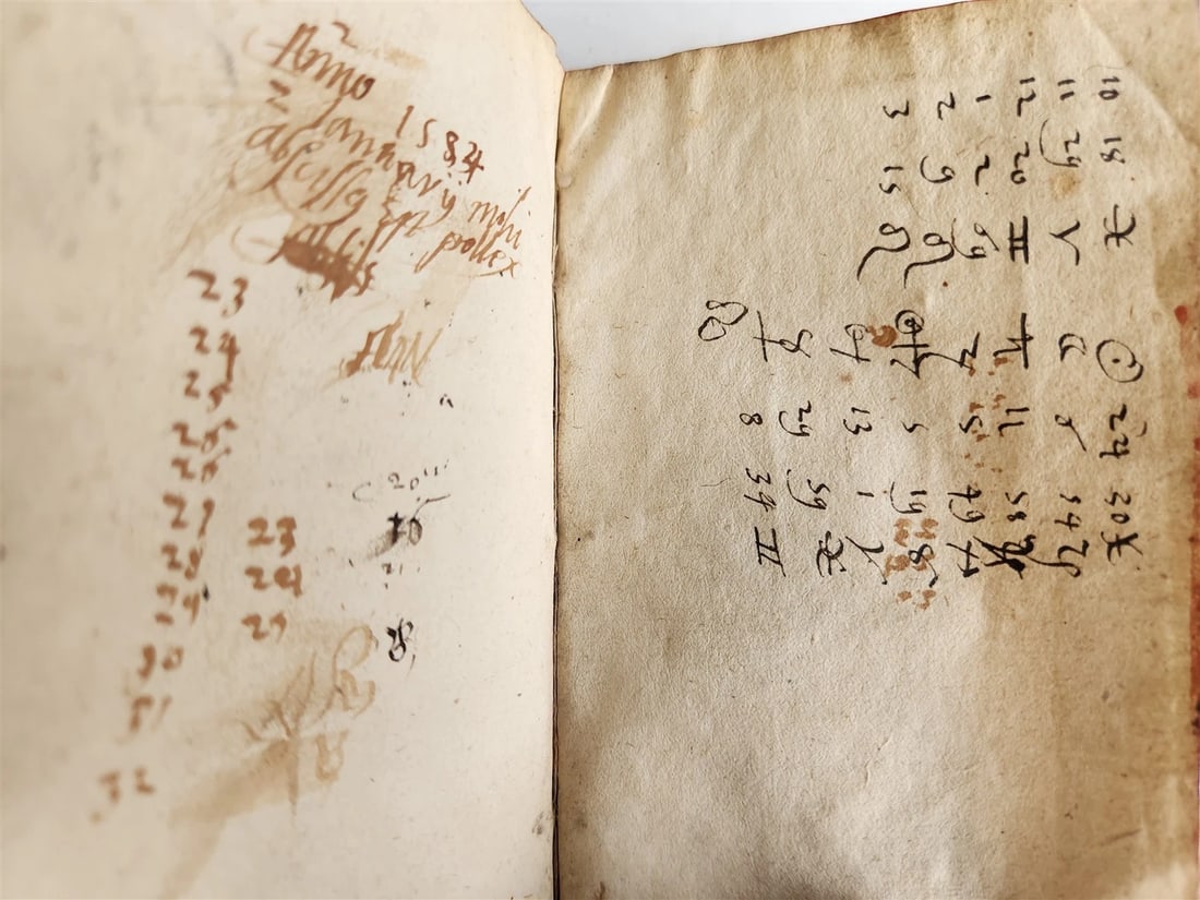 1578 POETRY Sentences of Theognis Megarensis antique vellum bound 16th CENTURY - 10
