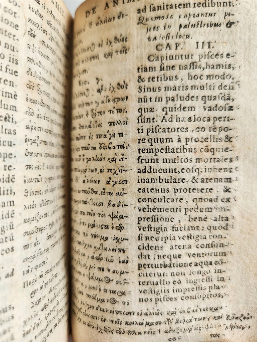 1616 CHARACTERISTICS of ANIMALS antique De Animalium natura by Claudius Aelianus - 12