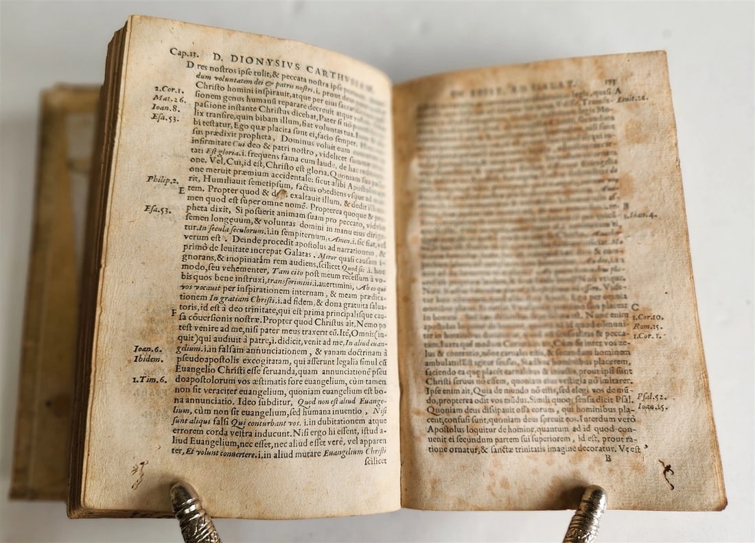 1555 BIBLE COMMENTARY by Dionysius Carthusianus antique VELLUM BINDING 16th CEN. - 10