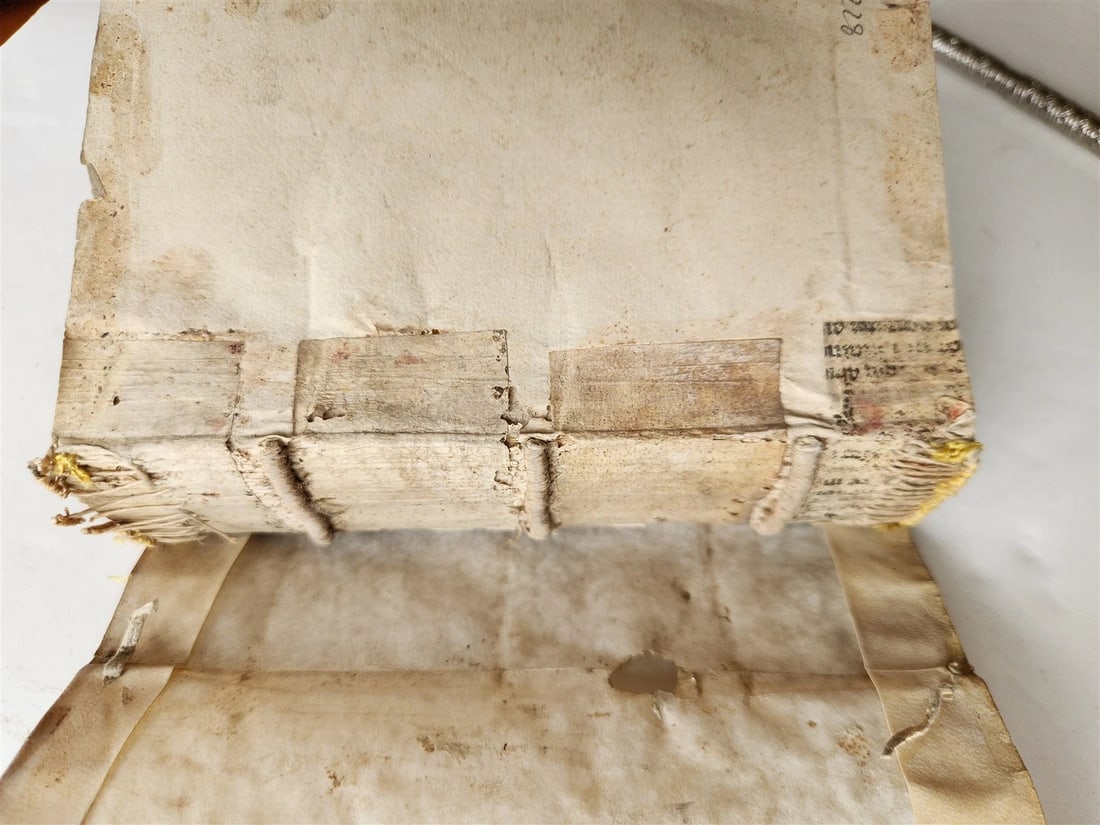 1555 BIBLE COMMENTARY by Dionysius Carthusianus antique VELLUM BINDING 16th CEN. - 12