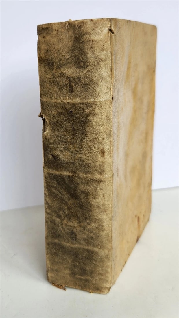 1555 BIBLE COMMENTARY by Dionysius Carthusianus antique VELLUM BINDING 16th CEN. - 2