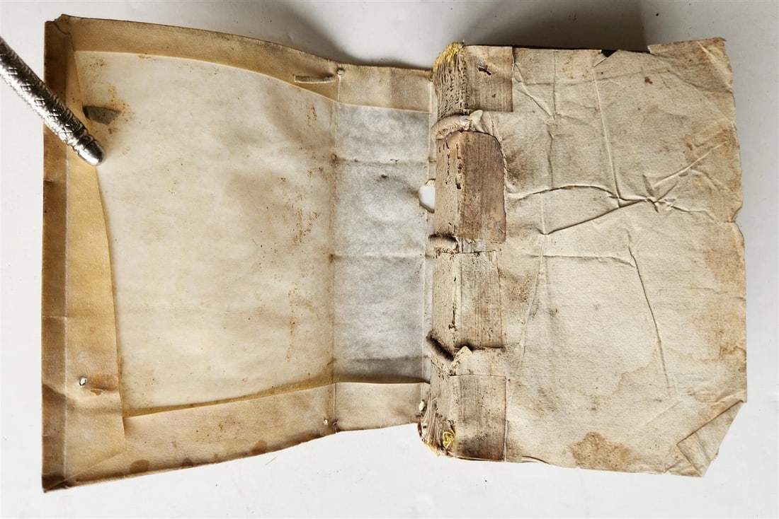 1555 BIBLE COMMENTARY by Dionysius Carthusianus antique VELLUM BINDING 16th CEN. - 5