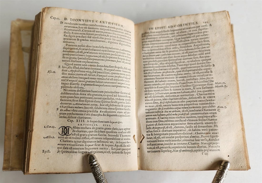 1555 BIBLE COMMENTARY by Dionysius Carthusianus antique VELLUM BINDING 16th CEN. - 8