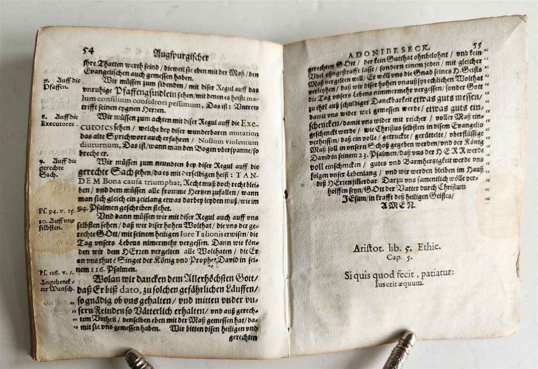 1633 AUGSBURG HISTORY antique VELLUM BINDING - 6