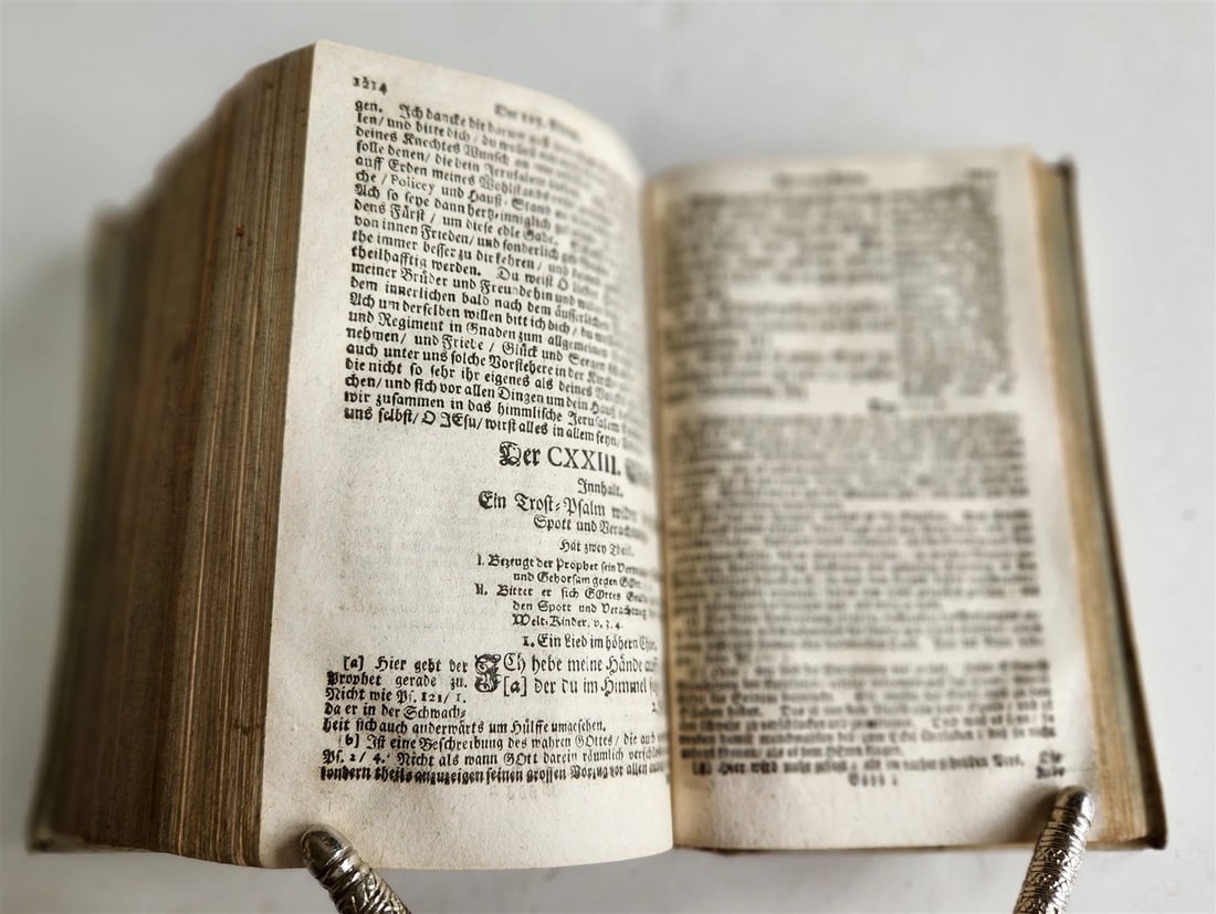 1719 PSALMS of DAVID in GERMAN antique vellum binding - 11