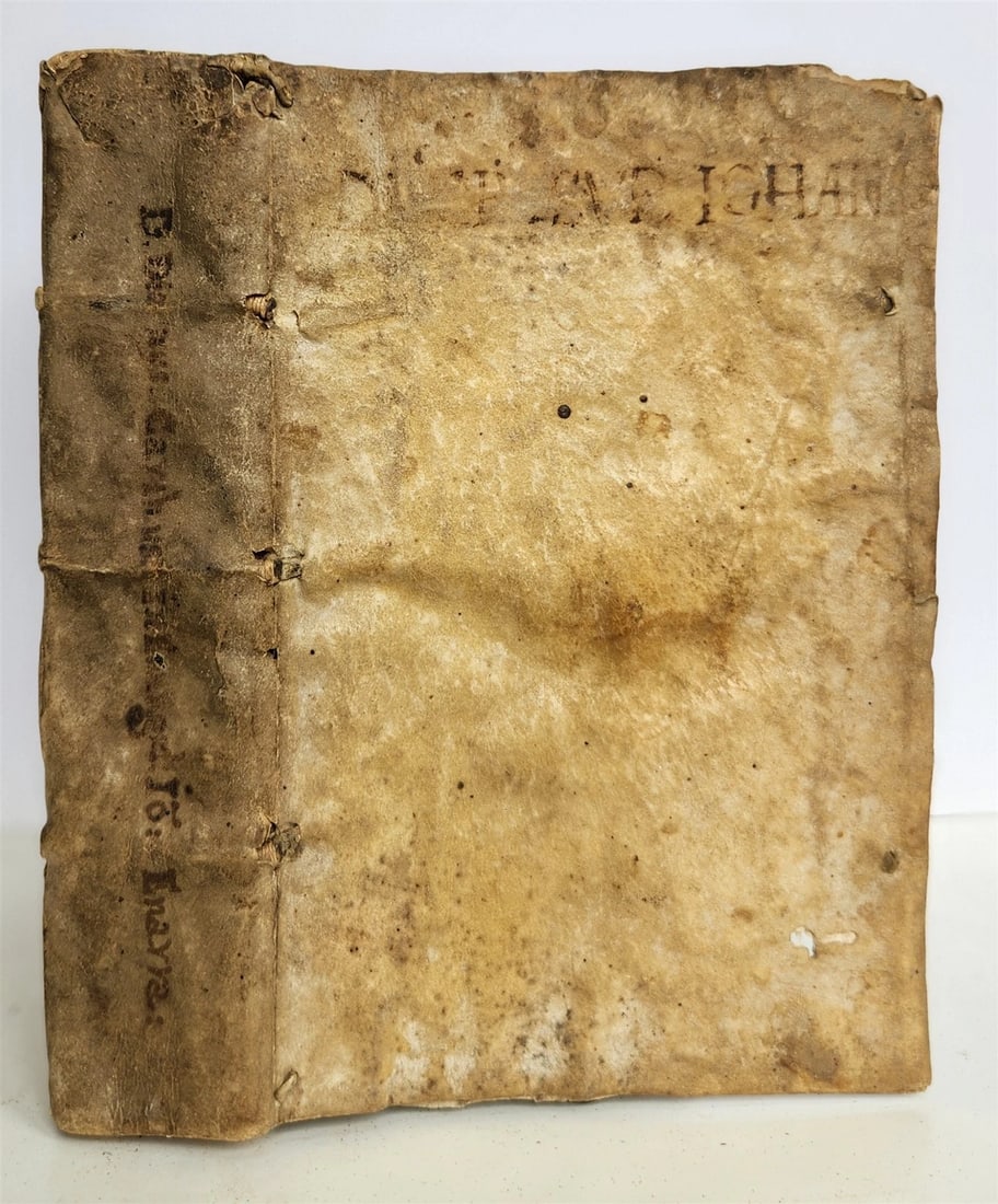 1554 Commentary on Gospel of John by Dionysius Carthusian antique vellum binding - 2