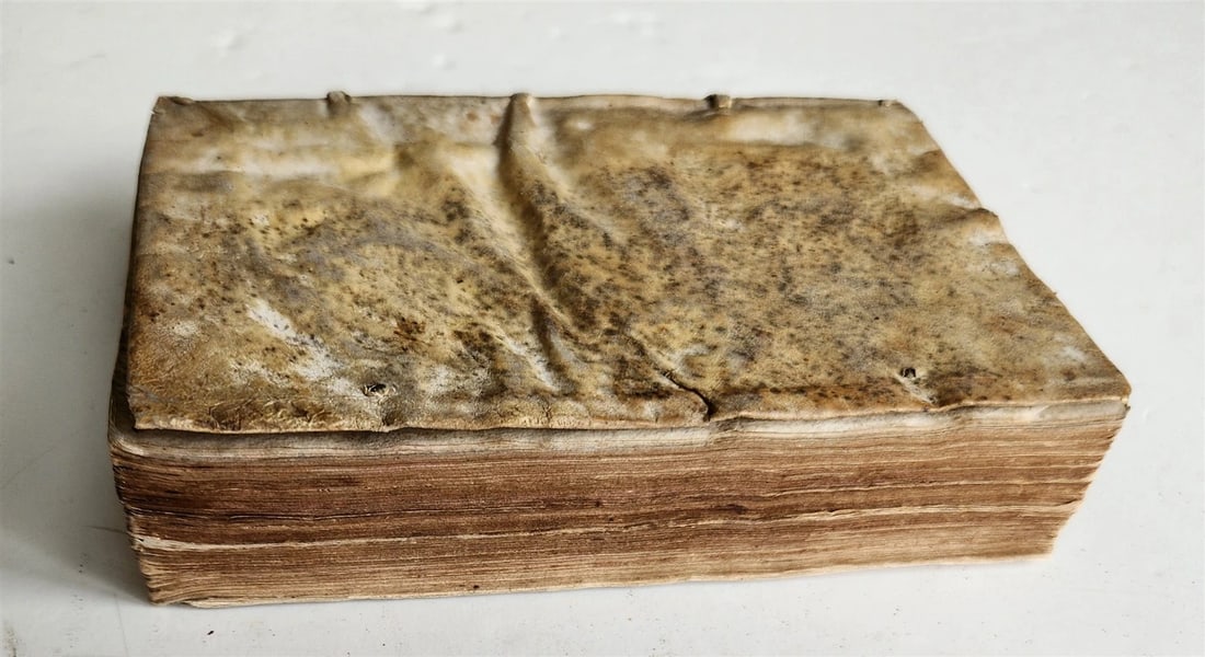 1554 Commentary on Gospel of John by Dionysius Carthusian antique vellum binding - 3