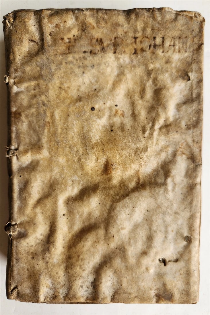1554 Commentary on Gospel of John by Dionysius Carthusian antique vellum binding - 4