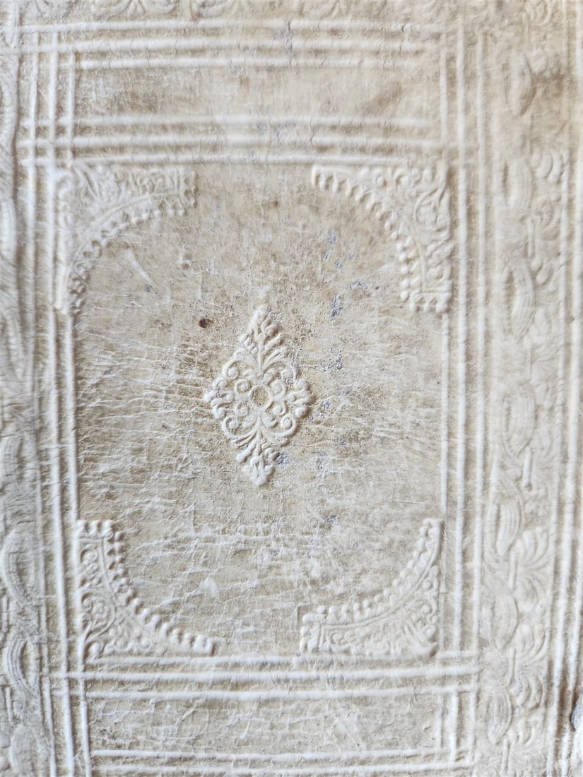 1730 Bibliotheca rhetorum in LATIN antique DECORATIVE PIGSKIN over WOOD BINDING - 7