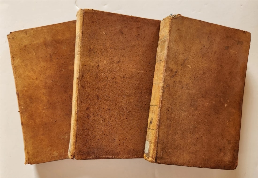 1792 TRAVELS TO GERMANY by RISBECK 3 VOLS antique Voyages en Allemagne w/ MAP - 3