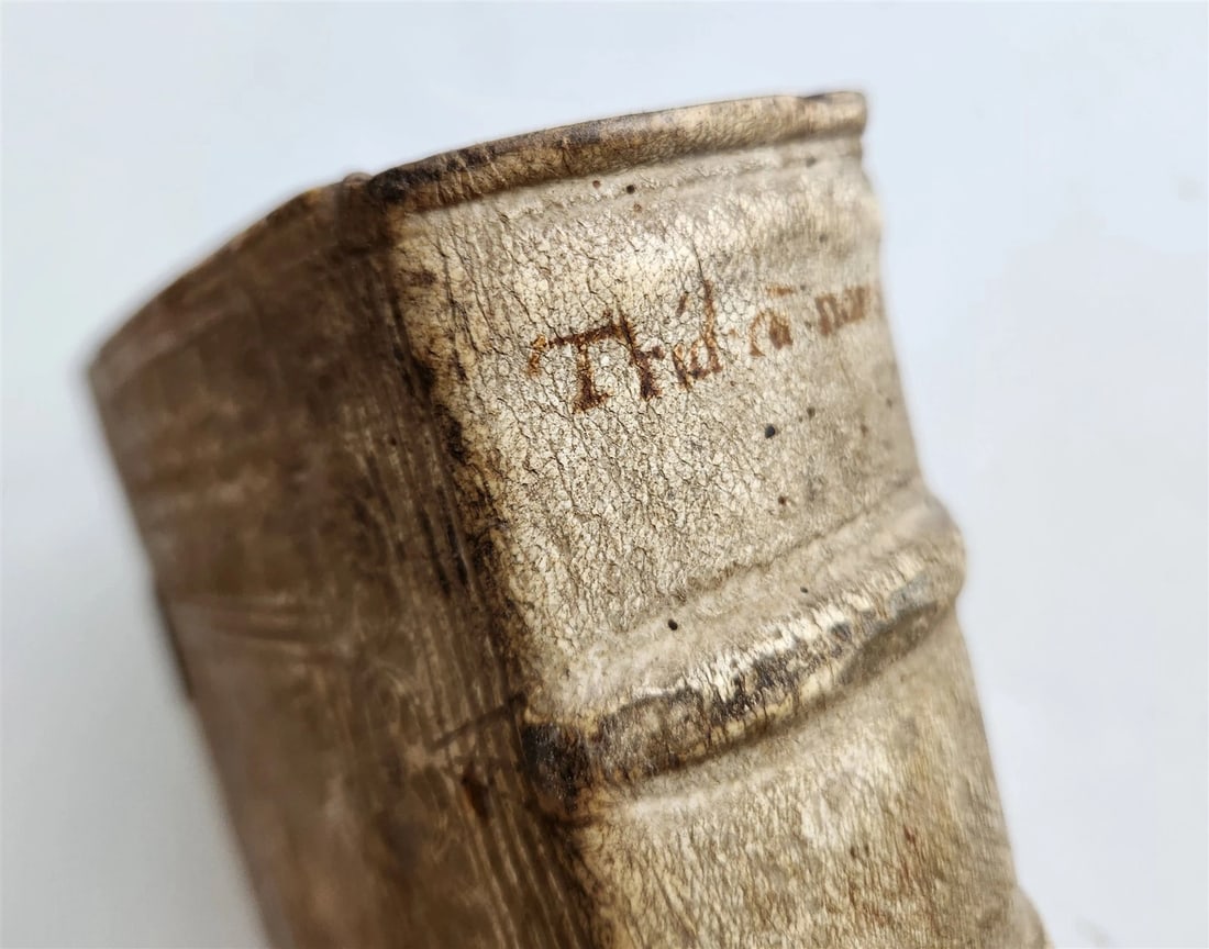 1664 COUNCIL OF TRENT antique decorative PIGSKIN over WOOD BINDING w/ CLASPS - 10