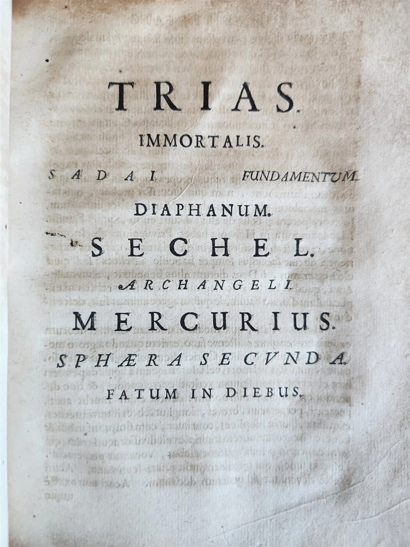 1665 ASTROLOGY HOROSCOPES antique ILLUSTRATED physiognomy chiromancy metoscopy - 19