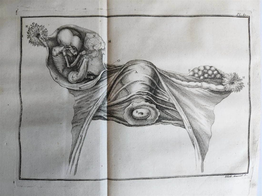 1753 MEDICAL TREATISE ILLUSTRATED ANATOMY by Francois PLANQUE antique V. 4 - 10