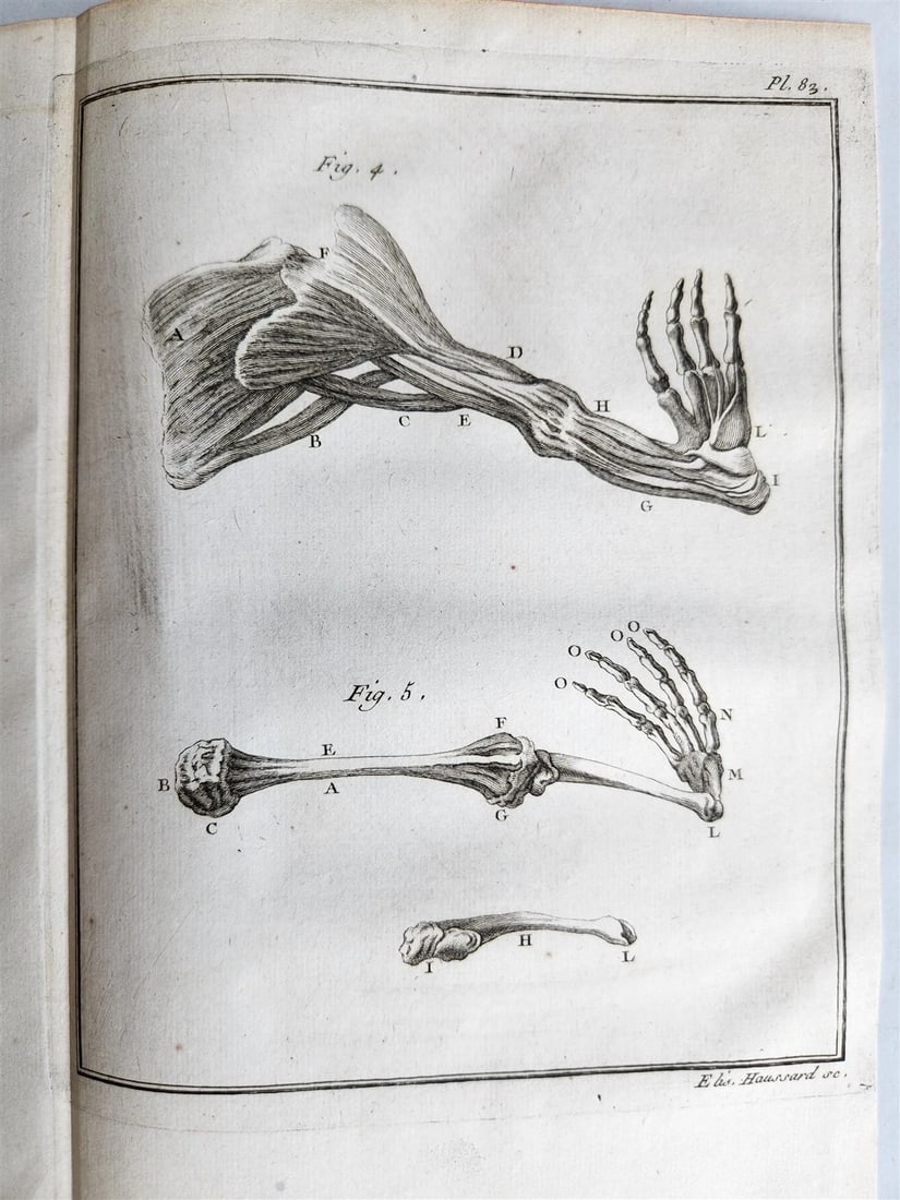1753 MEDICAL TREATISE ILLUSTRATED ANATOMY by Francois PLANQUE antique V. 4 - 12