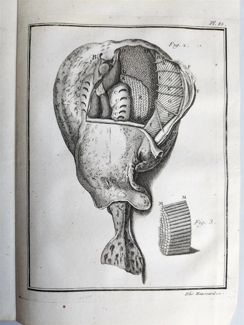 1753 MEDICAL TREATISE ILLUSTRATED ANATOMY by Francois PLANQUE antique V. 4 - 14