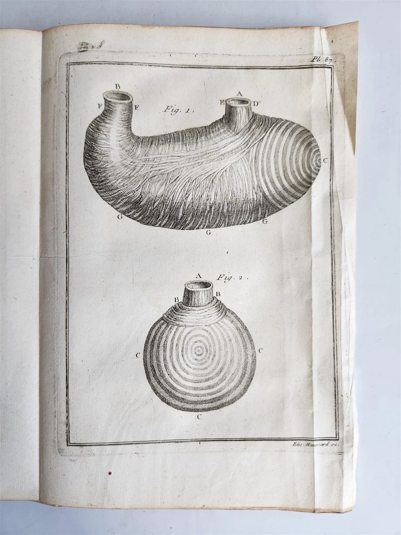 1753 MEDICAL TREATISE ILLUSTRATED ANATOMY by Francois PLANQUE antique V. 4 - 16