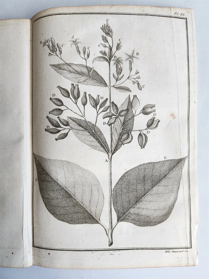 1753 MEDICAL TREATISE ILLUSTRATED ANATOMY by Francois PLANQUE antique V. 4 - 17