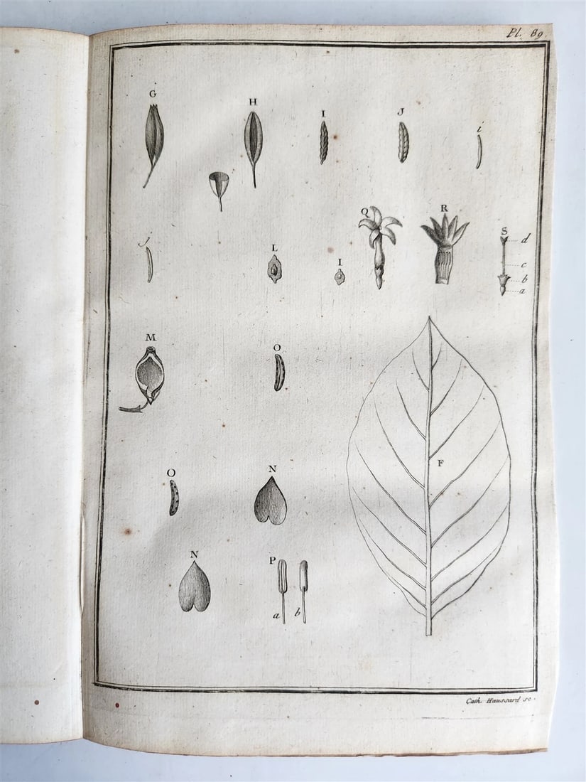 1753 MEDICAL TREATISE ILLUSTRATED ANATOMY by Francois PLANQUE antique V. 4 - 18