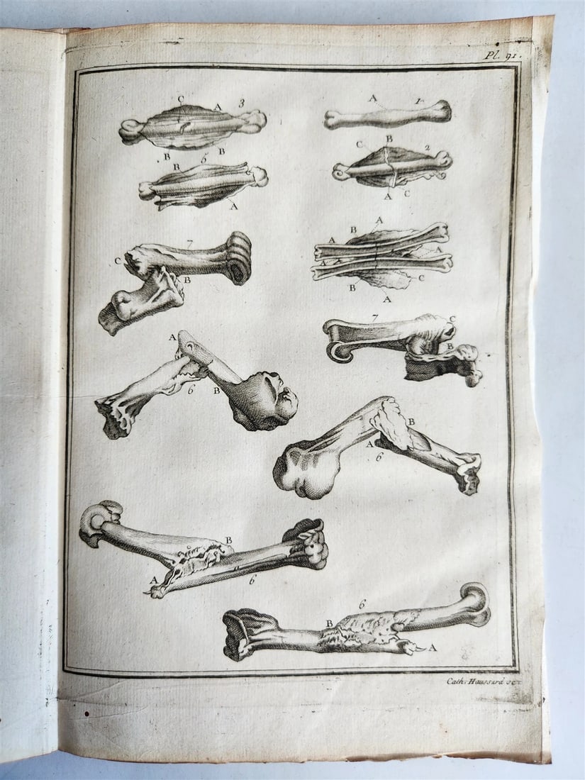 1753 MEDICAL TREATISE ILLUSTRATED ANATOMY by Francois PLANQUE antique V. 4 - 19