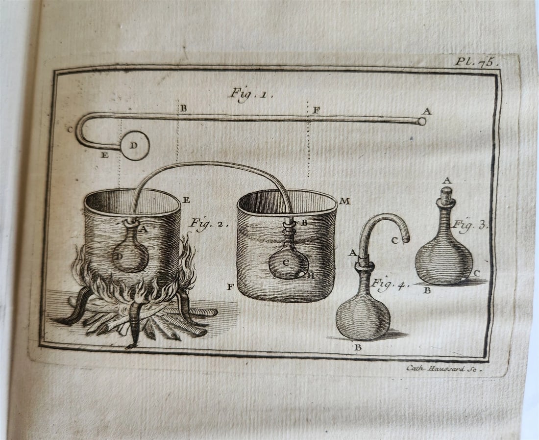 1753 MEDICAL TREATISE ILLUSTRATED ANATOMY by Francois PLANQUE antique V. 4 - 6
