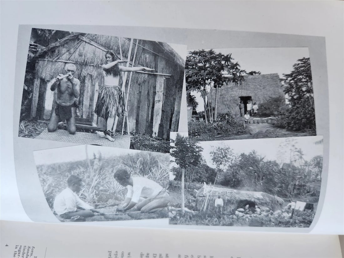 1915 NATURAL HISTORY of HAWAII antique ILLUSTRATED - 13