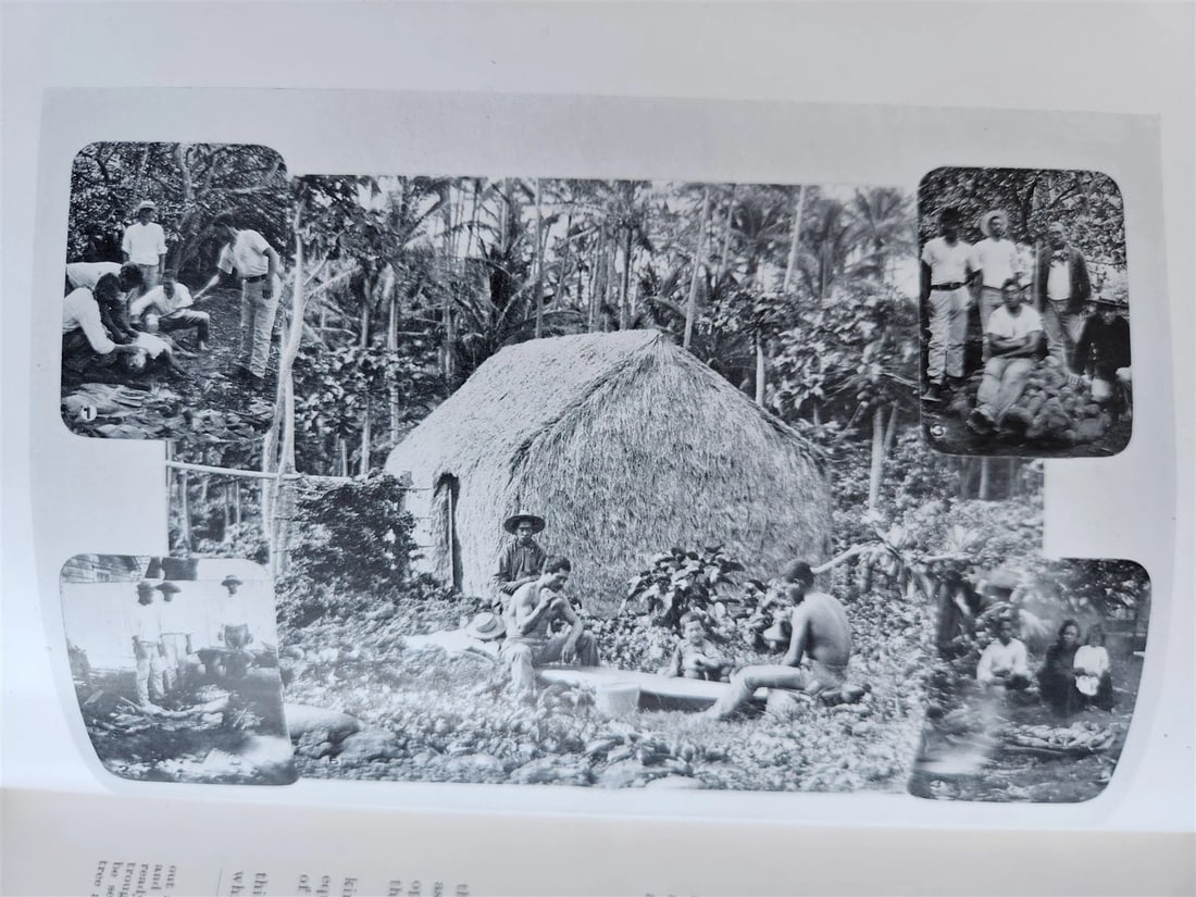 1915 NATURAL HISTORY of HAWAII antique ILLUSTRATED - 14