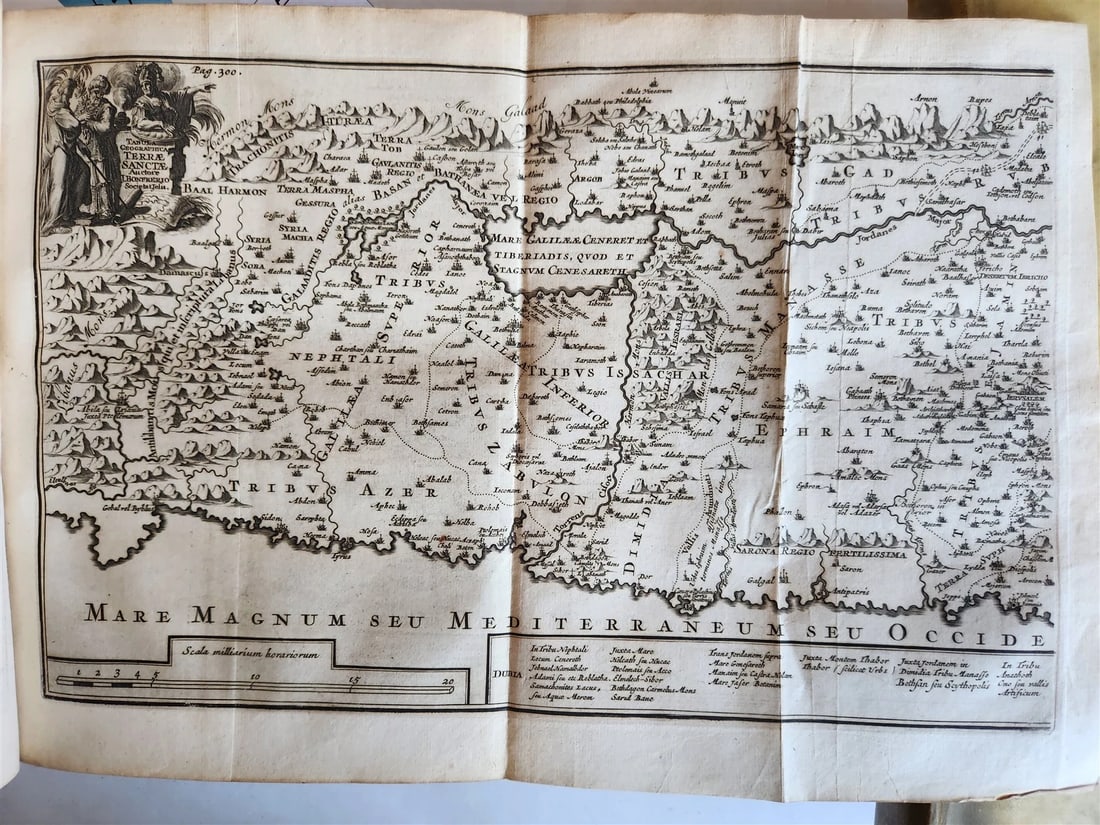 1709 BIBLE in GREEK ILLUSTRATED w/ MAPS antique GILT DECORATED VELLUM BINDING - 7
