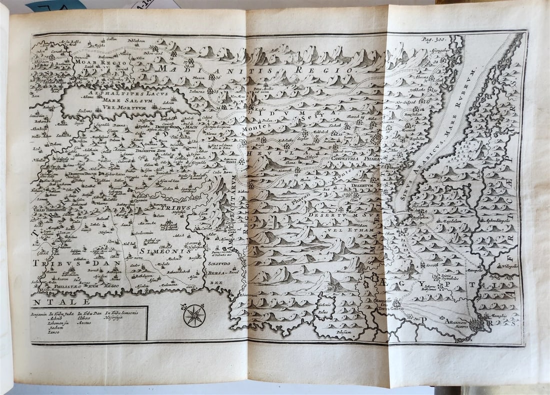 1709 BIBLE in GREEK ILLUSTRATED w/ MAPS antique GILT DECORATED VELLUM BINDING - 8