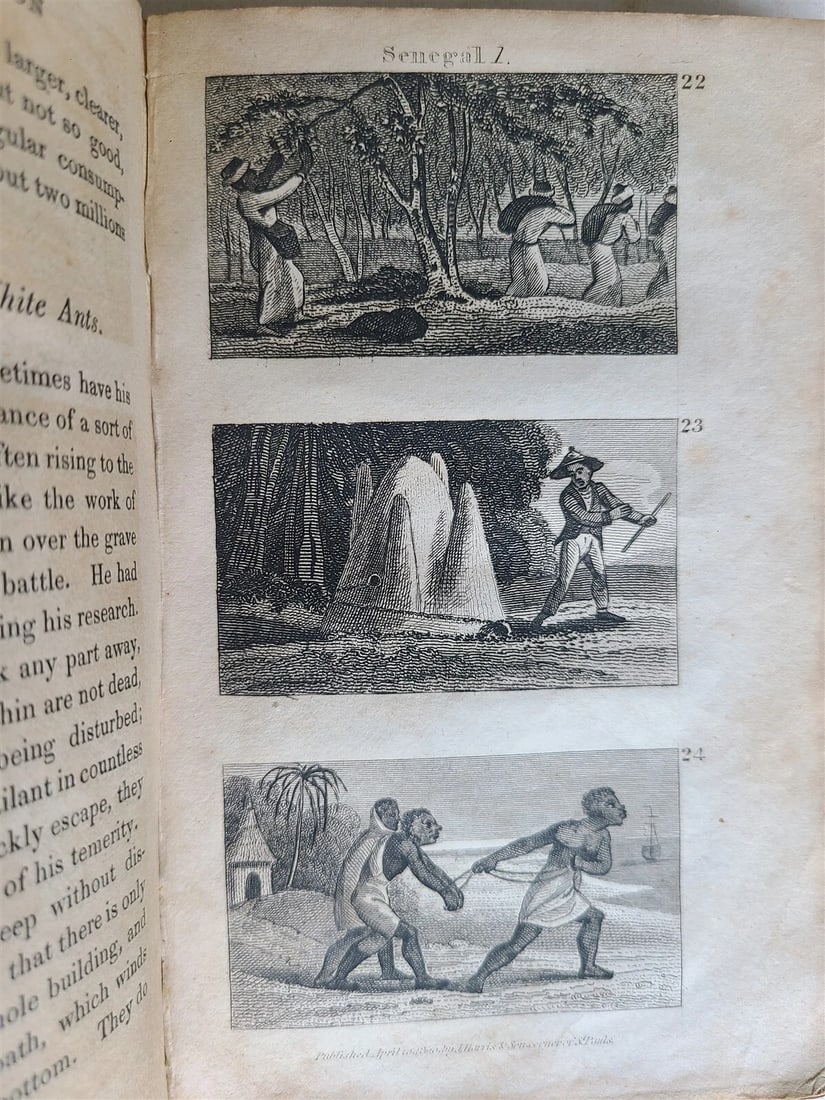 1821 SCENES in AFRICA antique illustrated CHILDRENS BOOK - 7