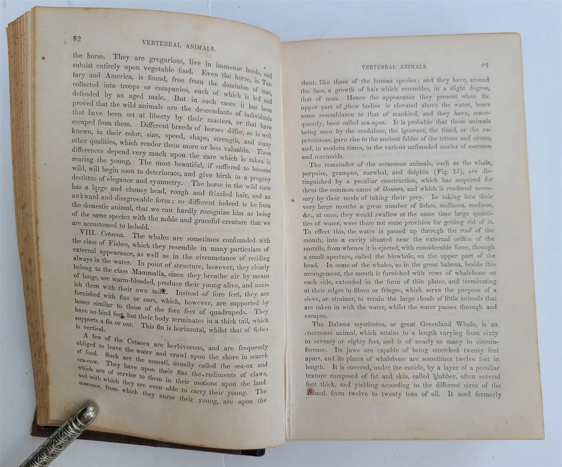 1872 PHILOSOPHY OF NATURAL HISTORY by WILLIAM SMELLE antique - 3