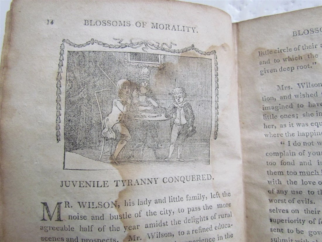 1810 BLOSSOMS of MORALITY antique PHILADELPHIA AMERICANA illustrated - 4