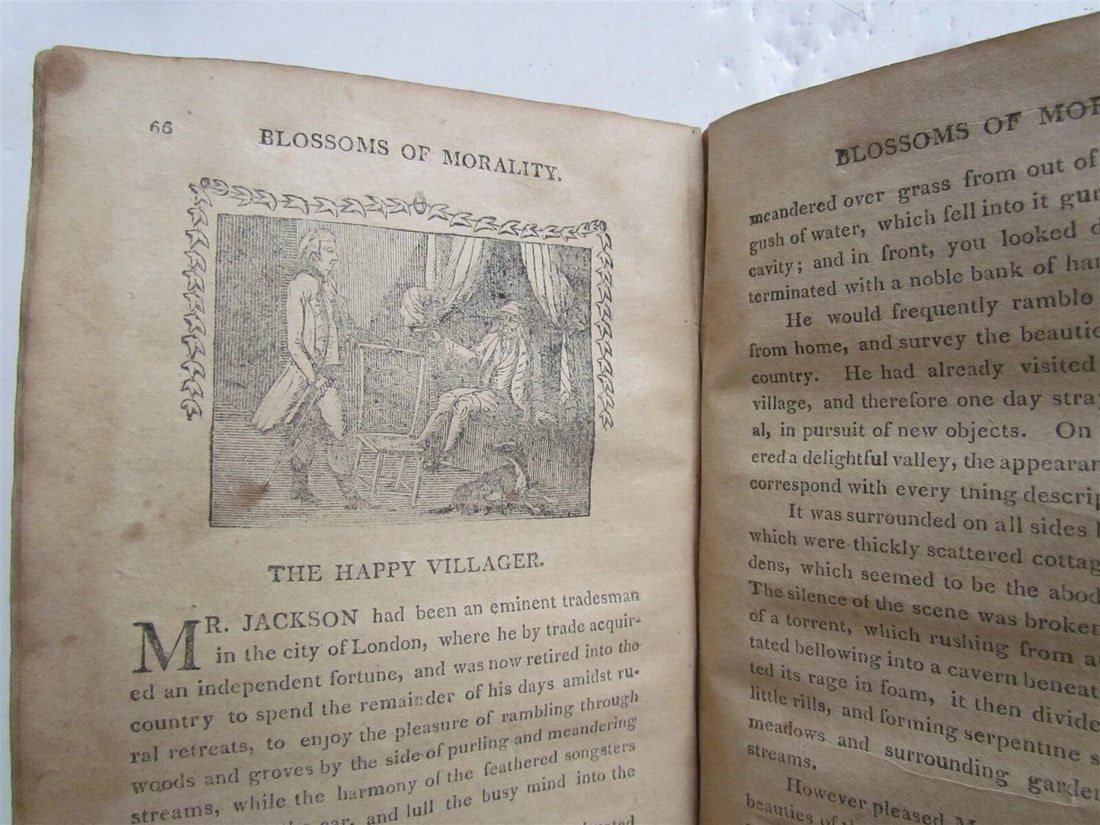 1810 BLOSSOMS of MORALITY antique PHILADELPHIA AMERICANA illustrated - 8