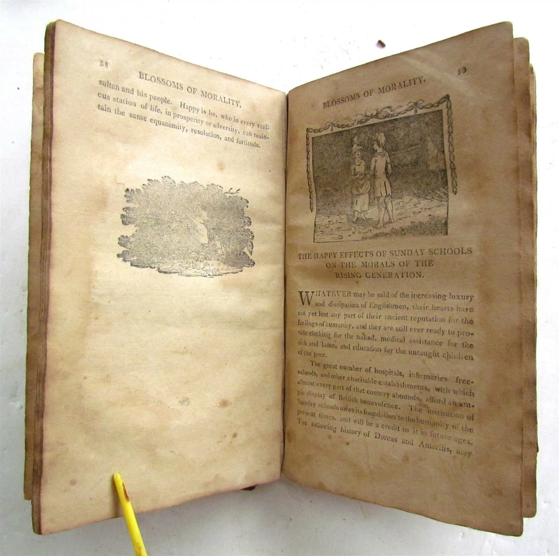 1810 BLOSSOMS of MORALITY antique PHILADELPHIA AMERICANA illustrated - 9