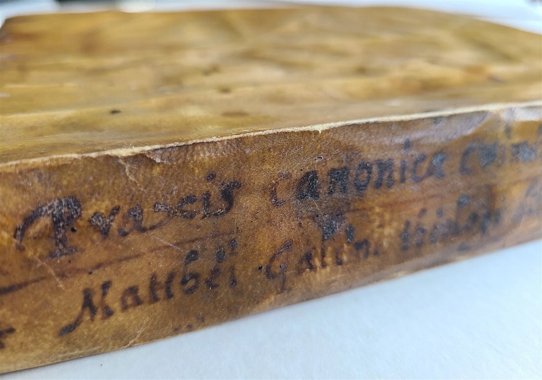 1561 ROMAN LAW CRIMINAL PRACTICE antique DOM. PETRI FOLLERII IURECONSULTI VELLUM - 4