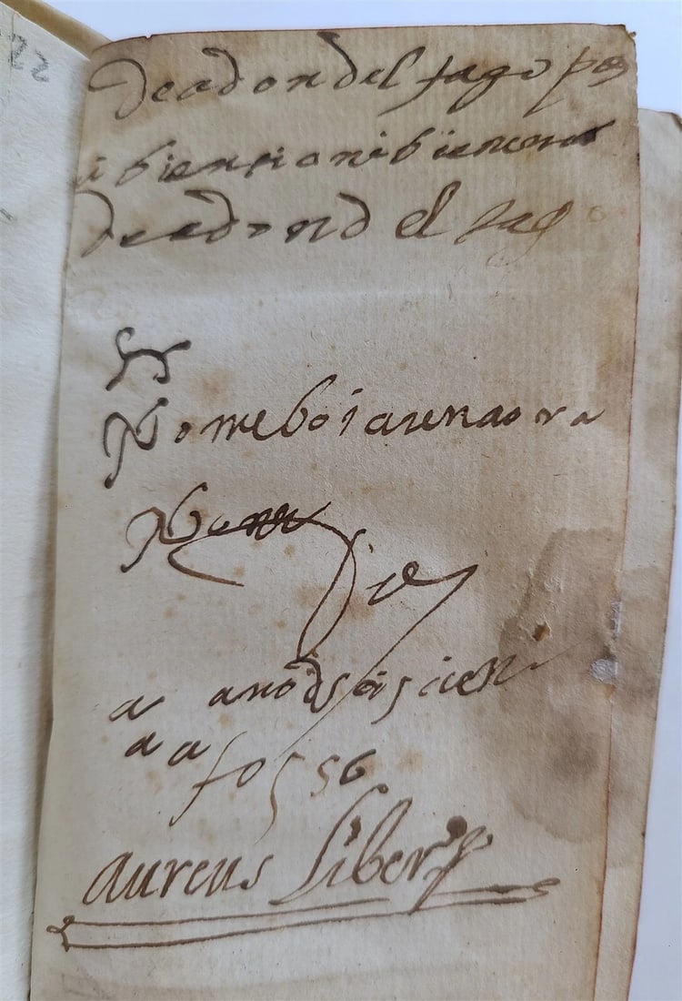 1556 Divinarum institutionum by LACTANTIUS antique VELLUM BOUND - 5