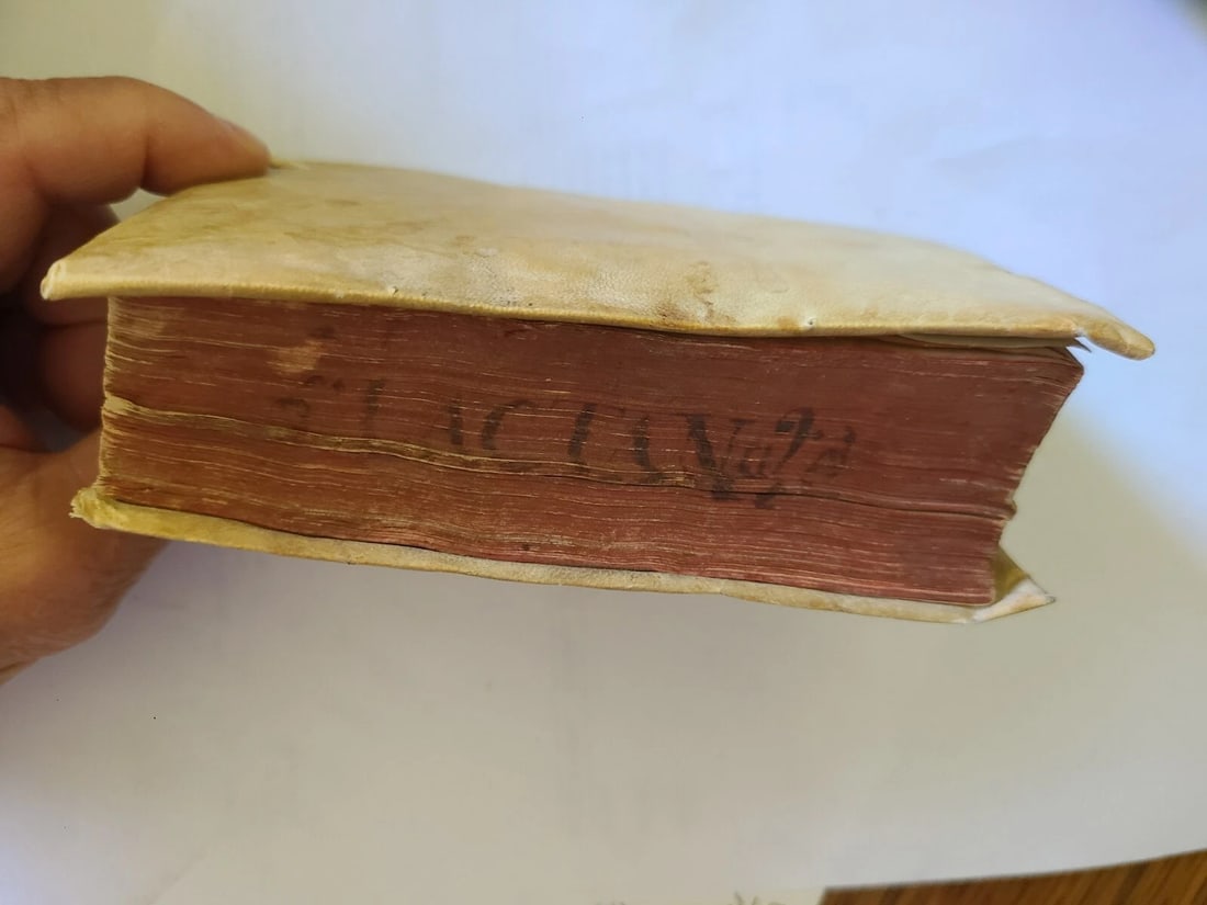 1556 Divinarum institutionum by LACTANTIUS antique VELLUM BOUND - 7