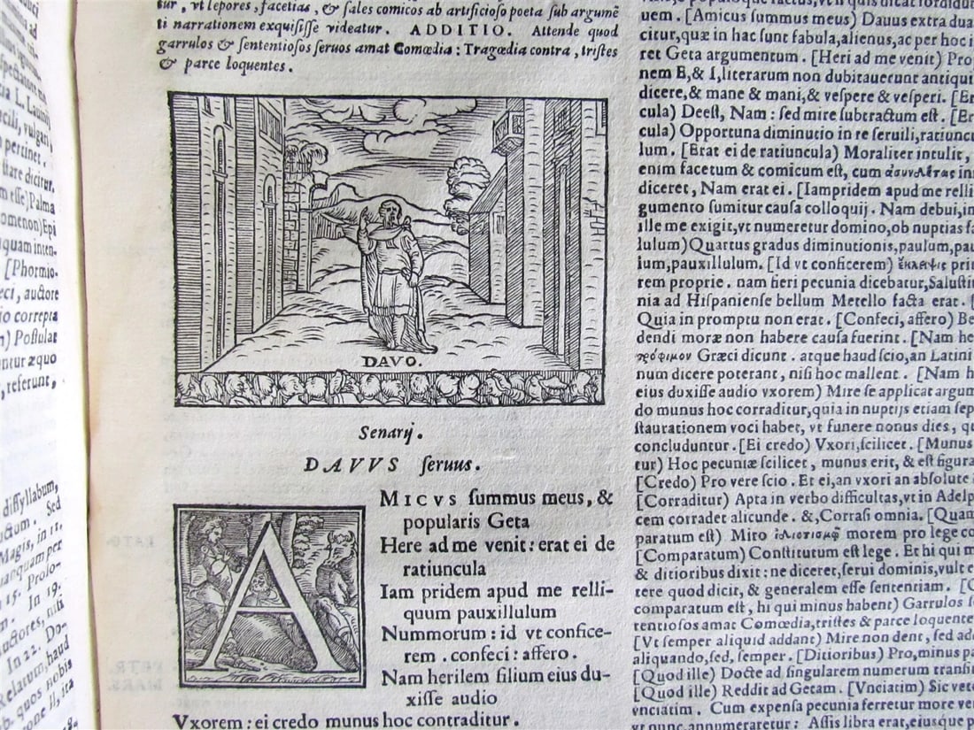 1567 COMOEDIAE SEX by TERENCE ILLUSTRATED VELLUM BINDING ANTIQUE 16th CENTURY - 12