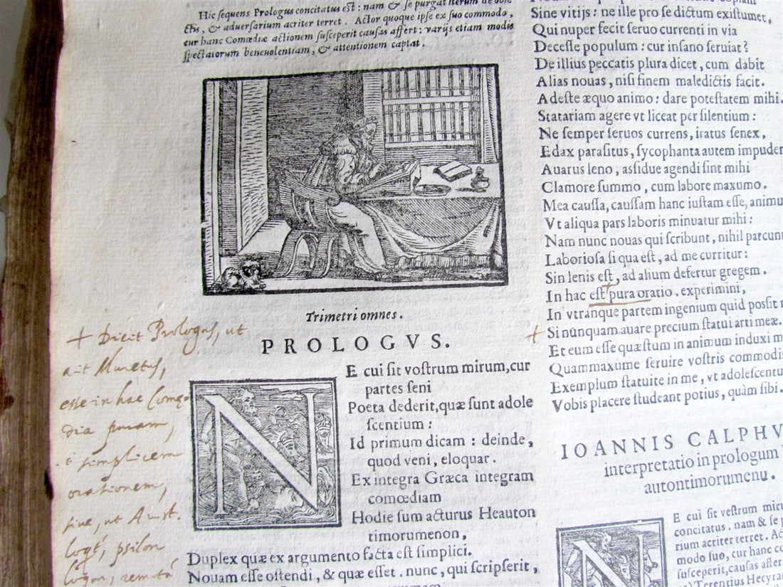 1567 COMOEDIAE SEX by TERENCE ILLUSTRATED VELLUM BINDING ANTIQUE 16th CENTURY - 5